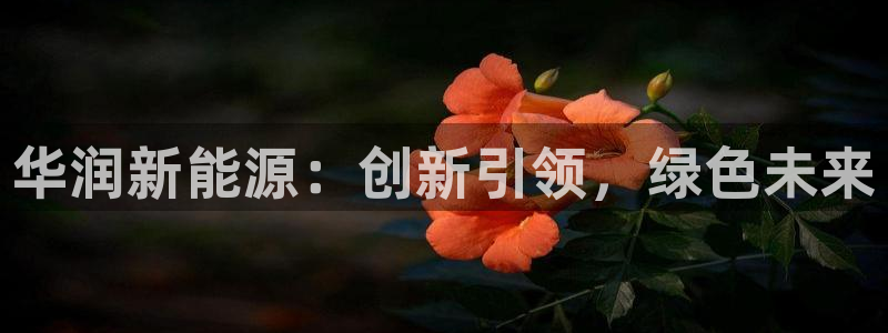 新宝gg登陆平台