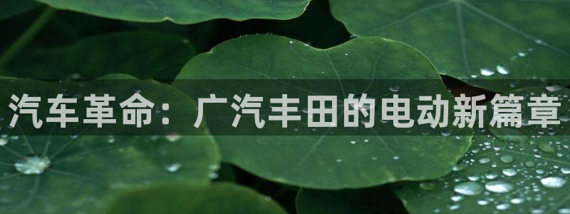 新宝奇迹GG5