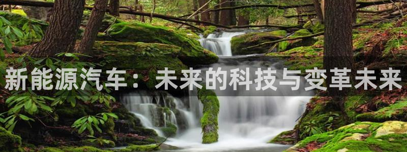 新宝gg如何