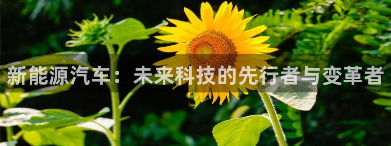 新宝gg登录链接：新能源汽车：未来科技的