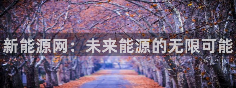 新宝gg挂机软件下载：新能源网：未来能源