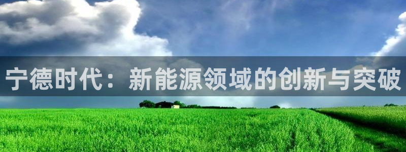 新宝gg 502：宁德时代：新能源领域的