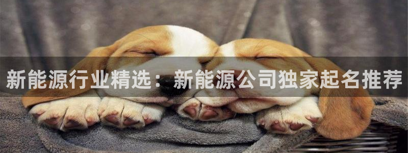 新宝 gg 下载：新能源行业精选：新能源