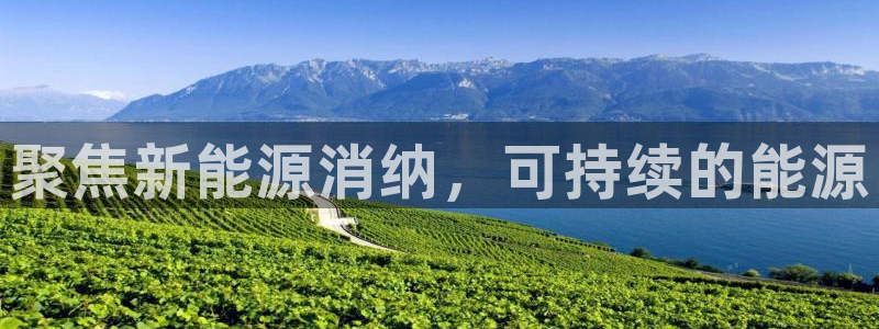 新宝gg娱乐-上鼎狐网