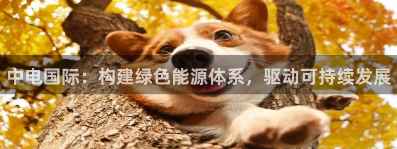新宝gg官网登录找代理：中电国际：构建绿