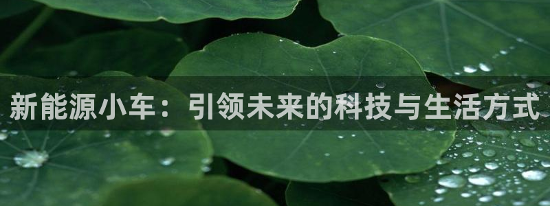 新宝6娱乐新宝gg：新能源小车：引领未来