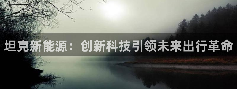 新宝gg手机：坦克新能源：创新科技引领未
