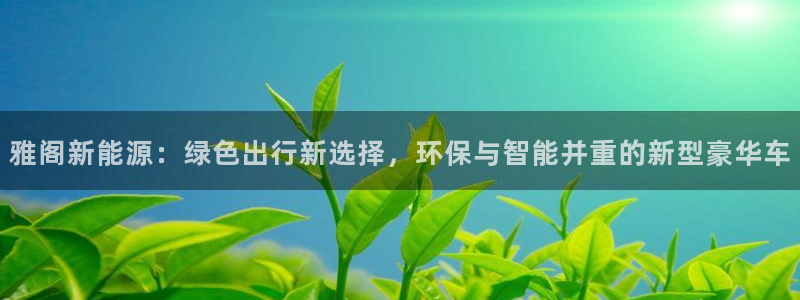 新宝gg1956登陆：雅阁新能源：绿色出