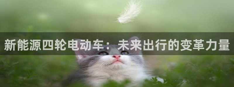 新宝GG朔78778：新能源四轮电动车：