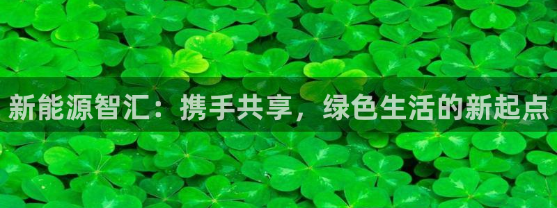 新宝gg走势:新能源智汇:携手共享,绿色生活的新起点
