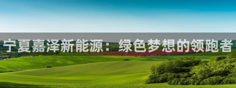新宝gg赞颂63390:宁夏嘉泽新能源:绿色梦想的领跑者