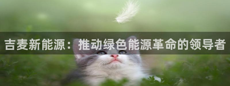 新宝 5 gg:吉麦新能源:推动绿色能源革命的领导者