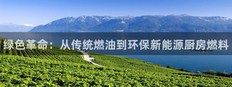 新宝奇迹GG5:绿色革命:从传统燃油到环保新能源厨房燃料