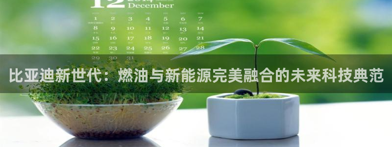 新宝gg官方下载:比亚迪新世代:燃油与新能源完美融合的未来科