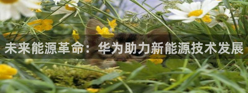 新宝gg如何注册：未来能源革命：华为助力