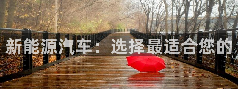 www.新宝gg:新能源汽车:选择最适合您的