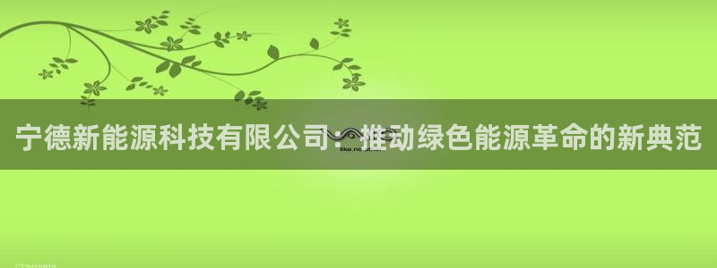 娱乐新宝GG：宁德新能源科技有限公司：推